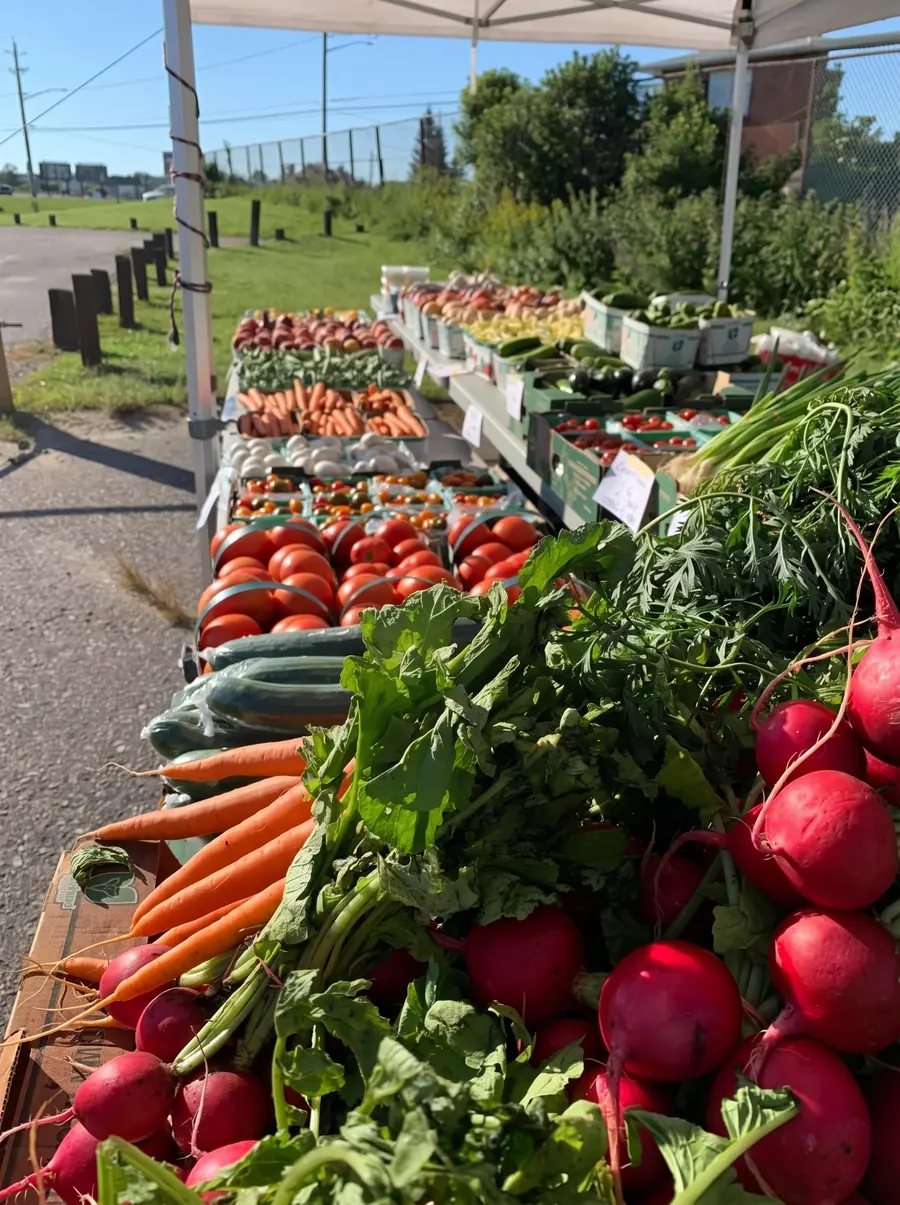 The outdoor farm stand with fresh vegetables